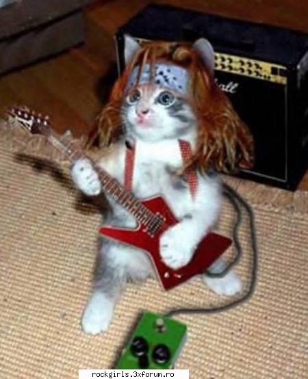 ce-mi place rock-pisi :rotfl:  :rotfl:  :rotfl: aici puneti poze amuzante