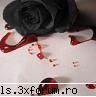 Sens vital - e fain fiku...da park totzi mor cam repede...shi - Arhiva fan-ficuri